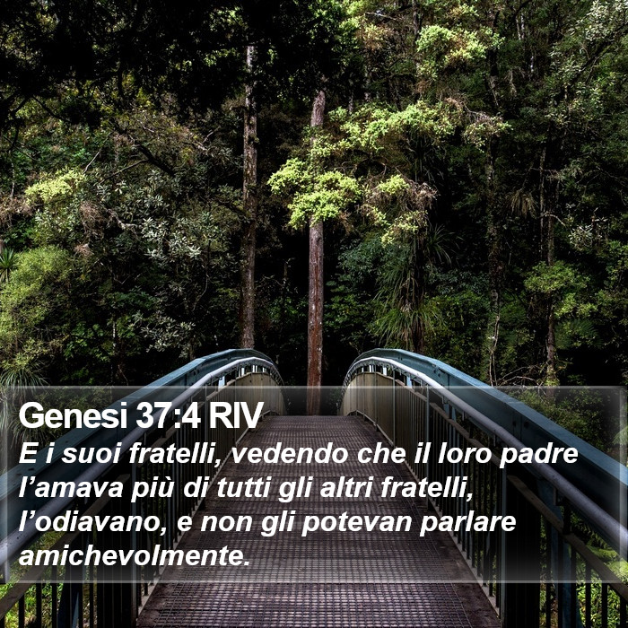 Genesi 37:4 RIV Bible Study