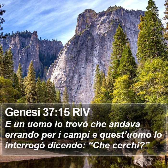 Genesi 37:15 RIV Bible Study