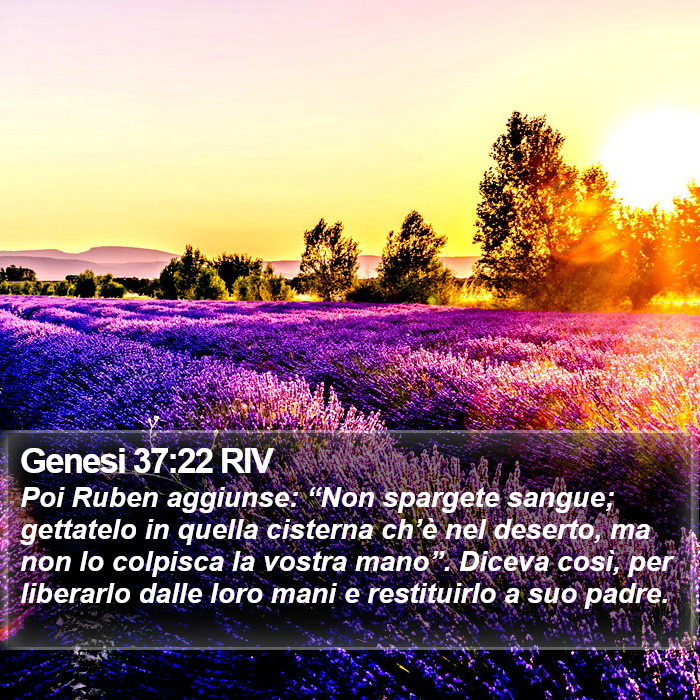 Genesi 37:22 RIV Bible Study