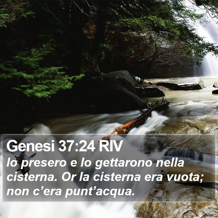 Genesi 37:24 RIV Bible Study
