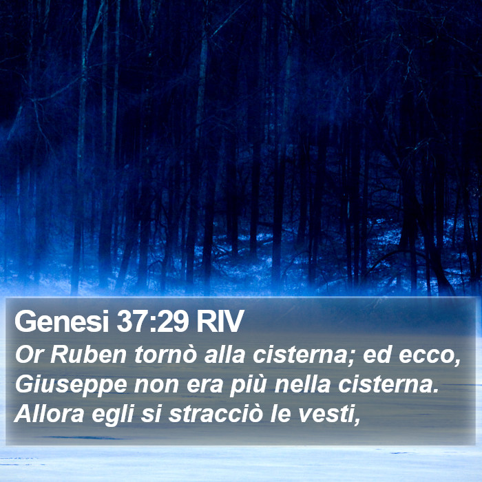 Genesi 37:29 RIV Bible Study