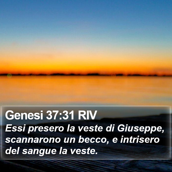 Genesi 37:31 RIV Bible Study