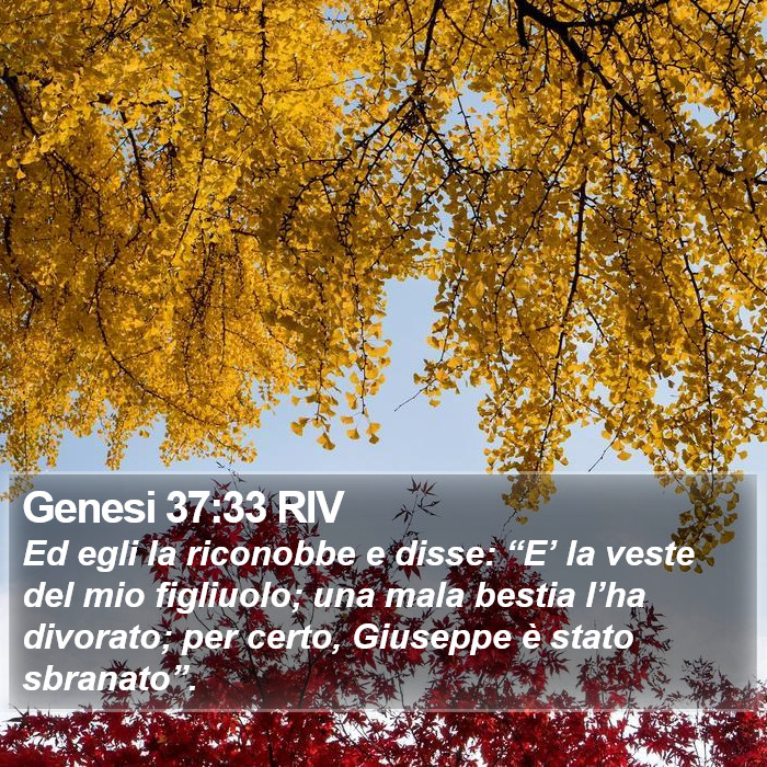 Genesi 37:33 RIV Bible Study
