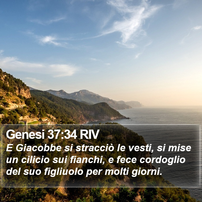 Genesi 37:34 RIV Bible Study