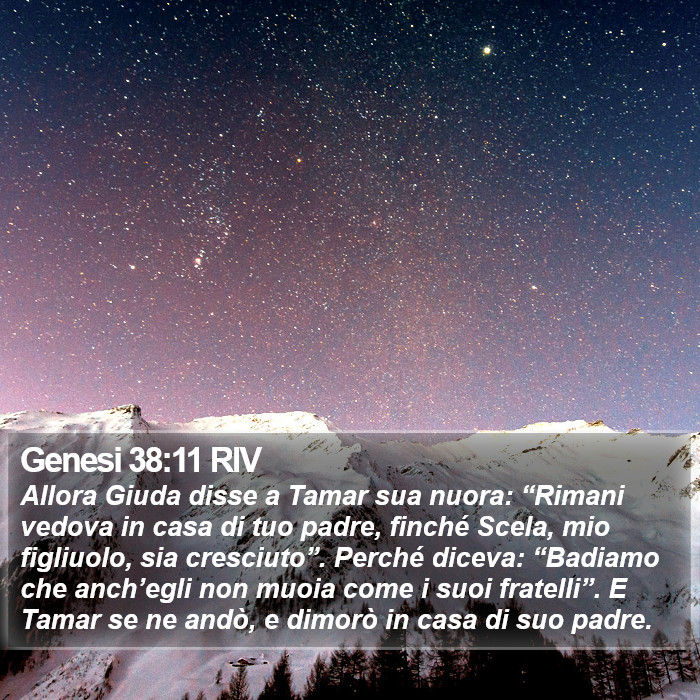 Genesi 38:11 RIV Bible Study