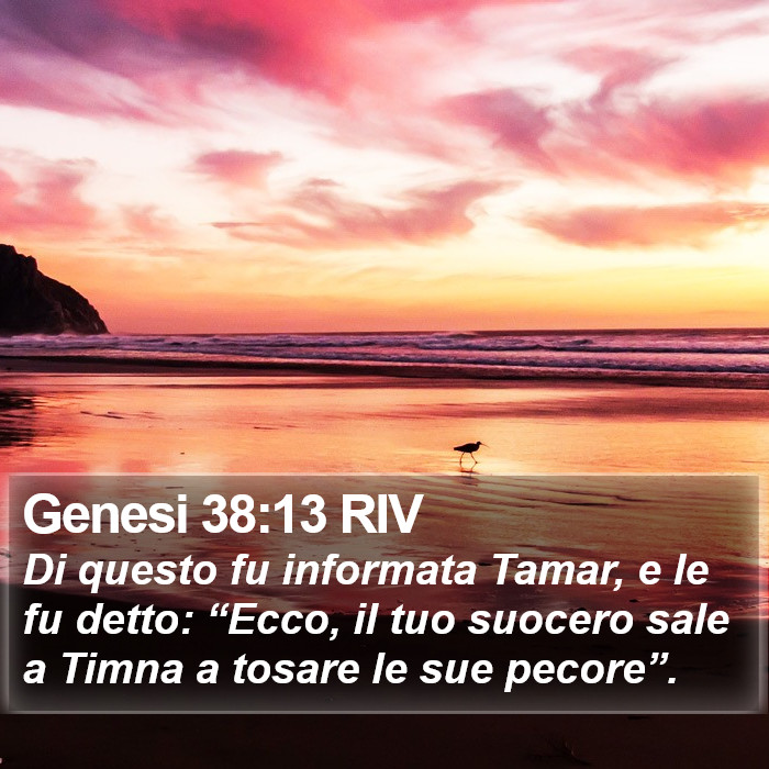 Genesi 38:13 RIV Bible Study