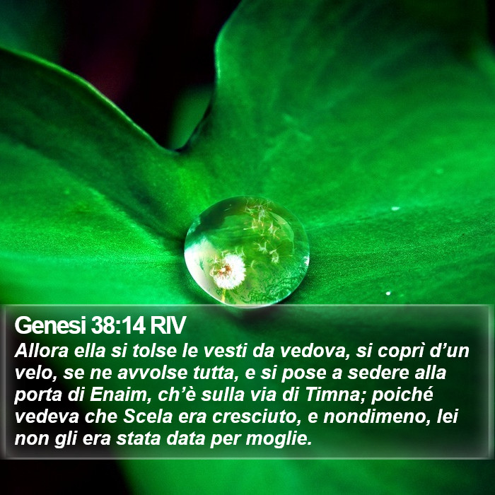 Genesi 38:14 RIV Bible Study