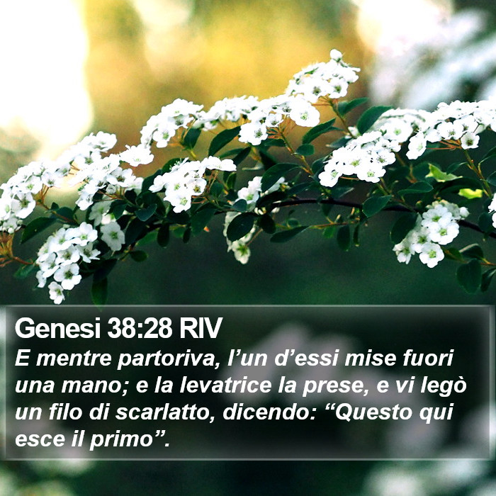 Genesi 38:28 RIV Bible Study