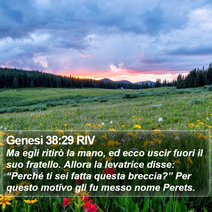 Genesi 38:29 RIV Bible Study