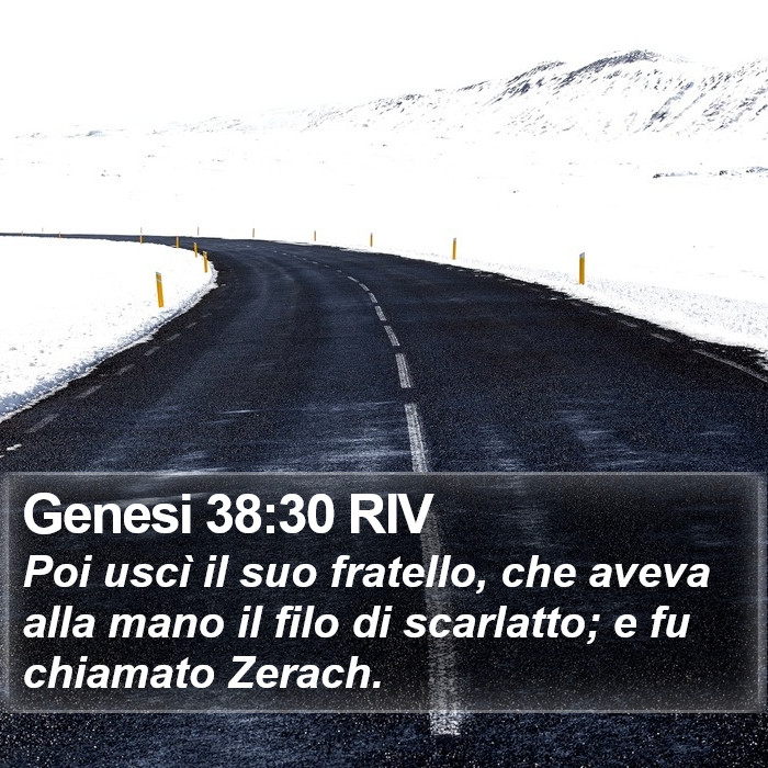 Genesi 38:30 RIV Bible Study