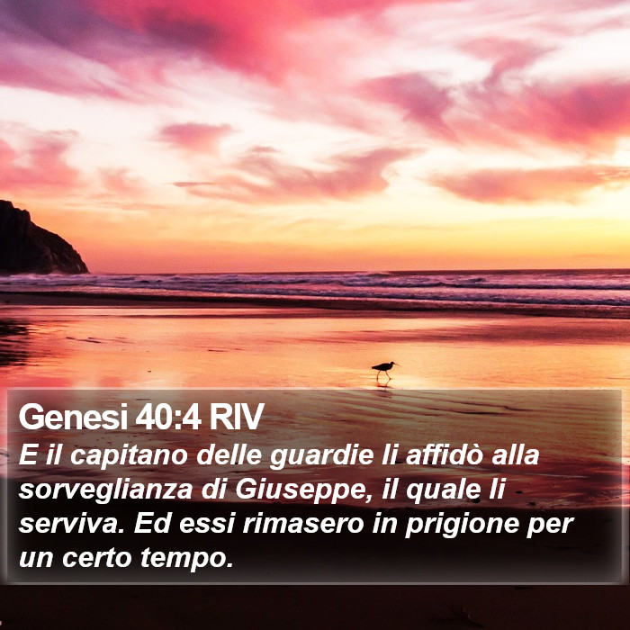 Genesi 40:4 RIV Bible Study