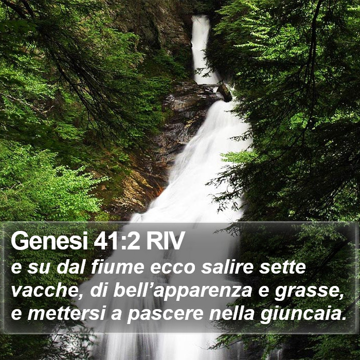 Genesi 41:2 RIV Bible Study