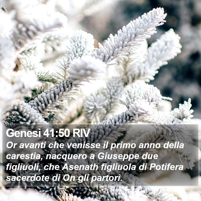 Genesi 41:50 RIV Bible Study
