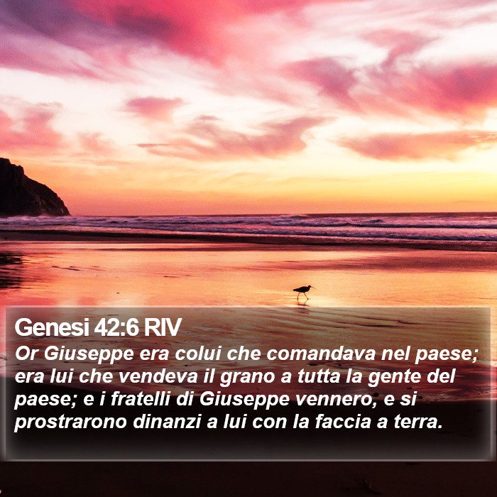 Genesi 42:6 RIV Bible Study