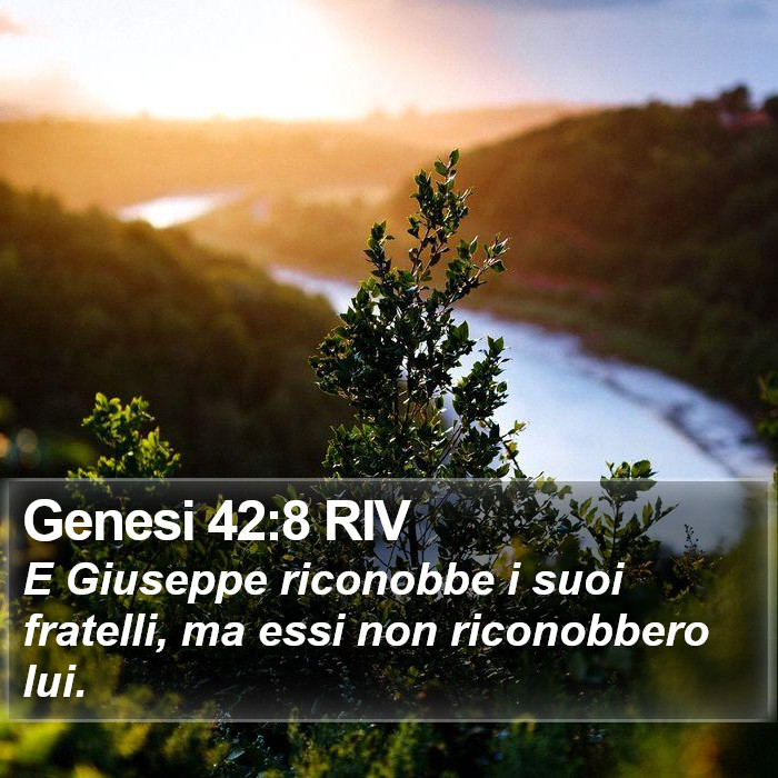 Genesi 42:8 RIV Bible Study