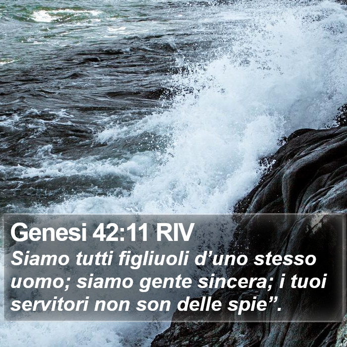 Genesi 42:11 RIV Bible Study