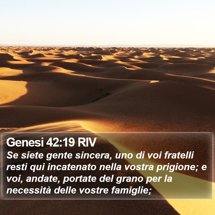 Genesi 42:19 RIV Bible Study