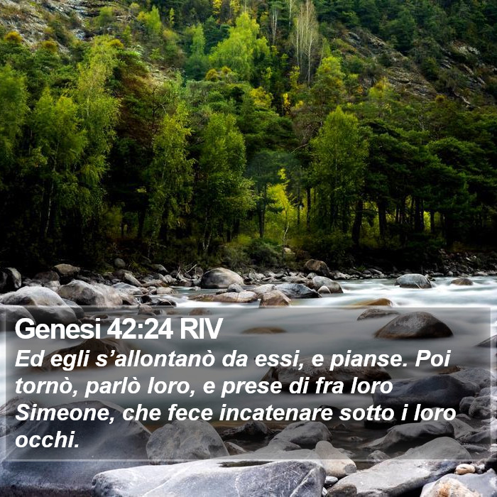 Genesi 42:24 RIV Bible Study