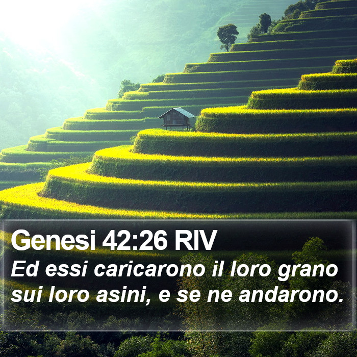 Genesi 42:26 RIV Bible Study