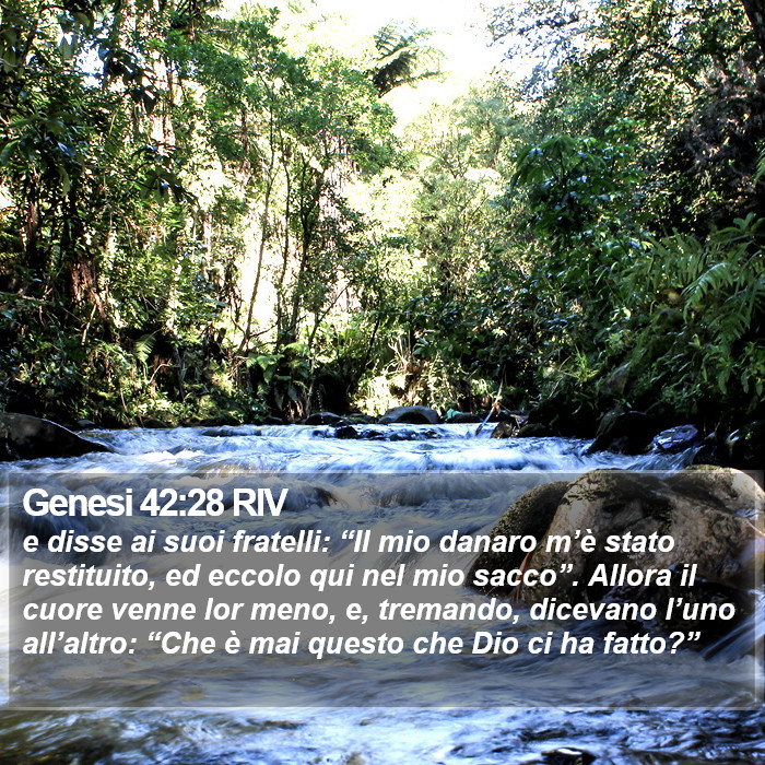 Genesi 42:28 RIV Bible Study