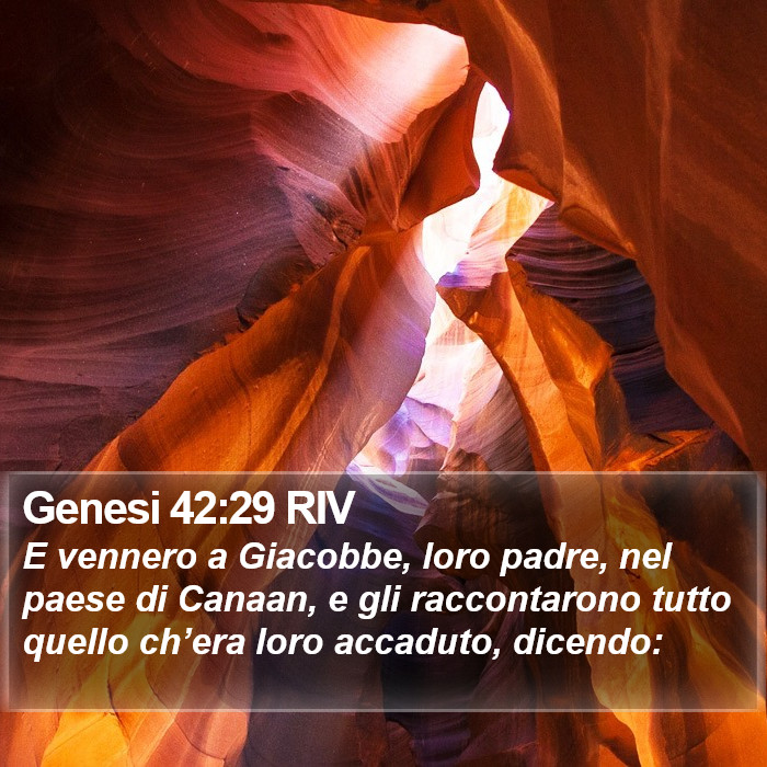 Genesi 42:29 RIV Bible Study