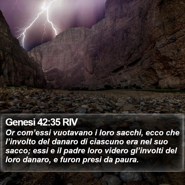 Genesi 42:35 RIV Bible Study