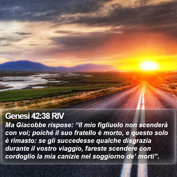 Genesi 42:38 RIV Bible Study