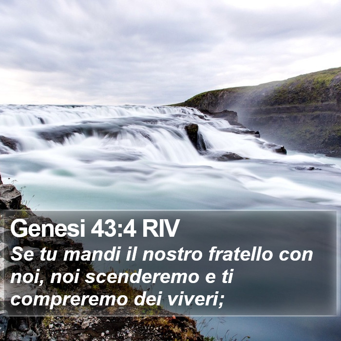 Genesi 43:4 RIV Bible Study