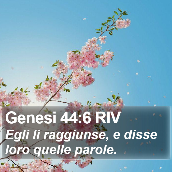 Genesi 44:6 RIV Bible Study