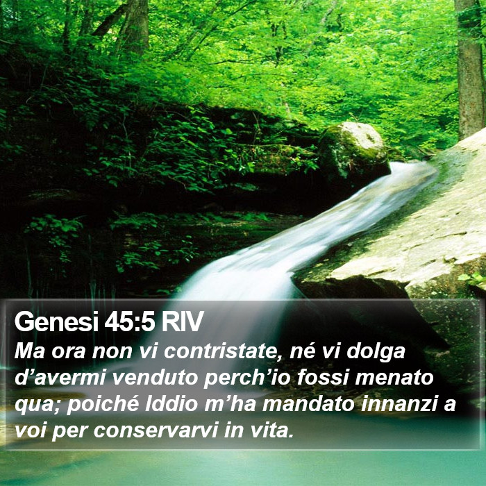 Genesi 45:5 RIV Bible Study