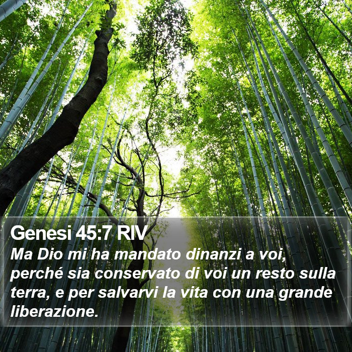 Genesi 45:7 RIV Bible Study