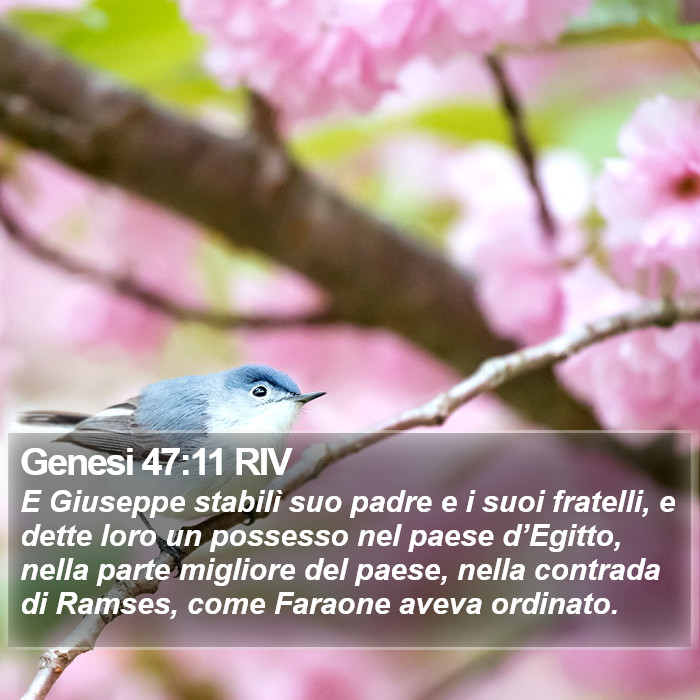 Genesi 47:11 RIV Bible Study