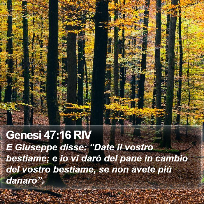 Genesi 47:16 RIV Bible Study