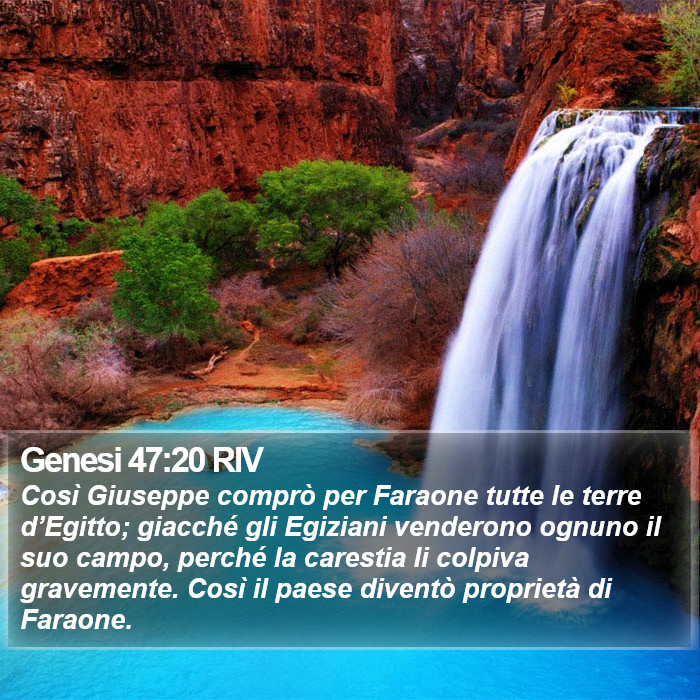 Genesi 47:20 RIV Bible Study