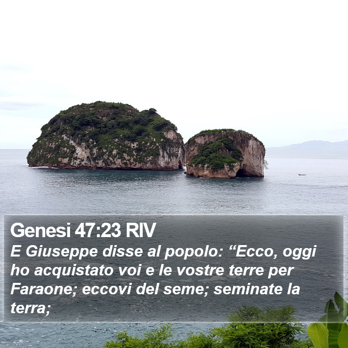 Genesi 47:23 RIV Bible Study