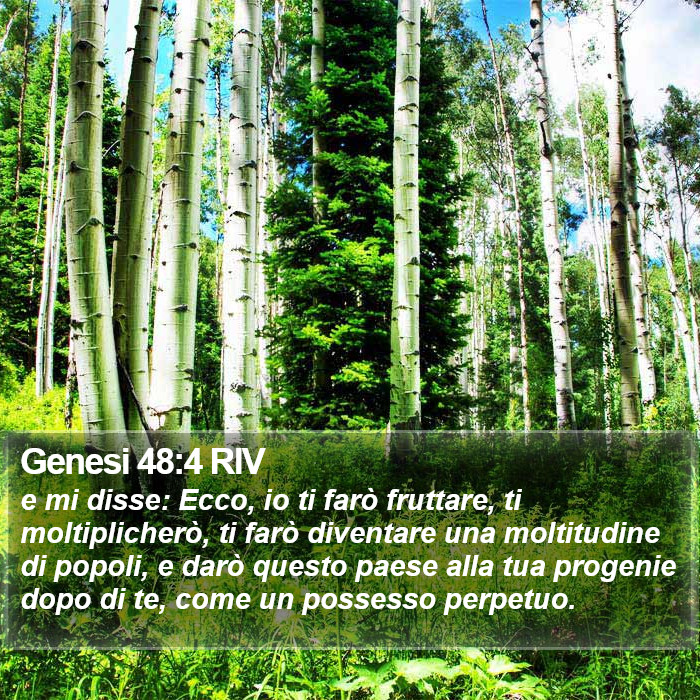 Genesi 48:4 RIV Bible Study