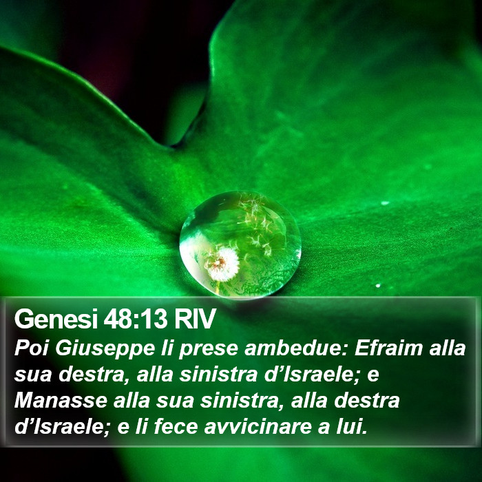 Genesi 48:13 RIV Bible Study