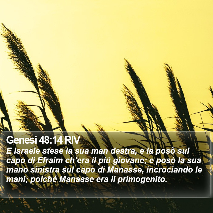 Genesi 48:14 RIV Bible Study