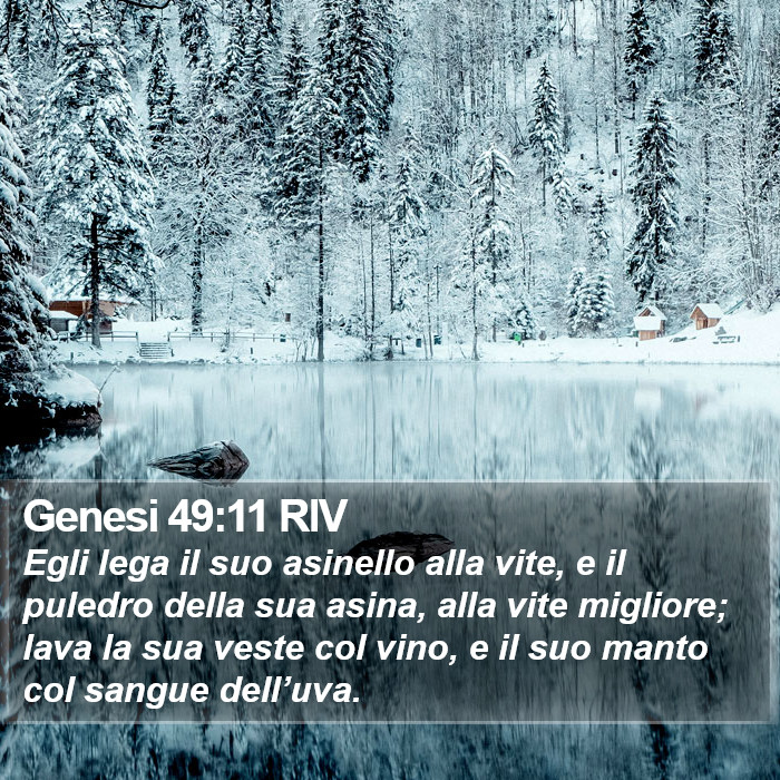 Genesi 49:11 RIV Bible Study