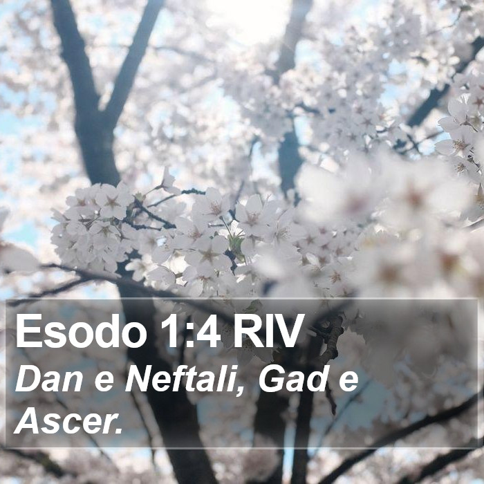 Esodo 1:4 RIV Bible Study