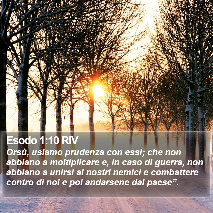 Esodo 1:10 RIV Bible Study