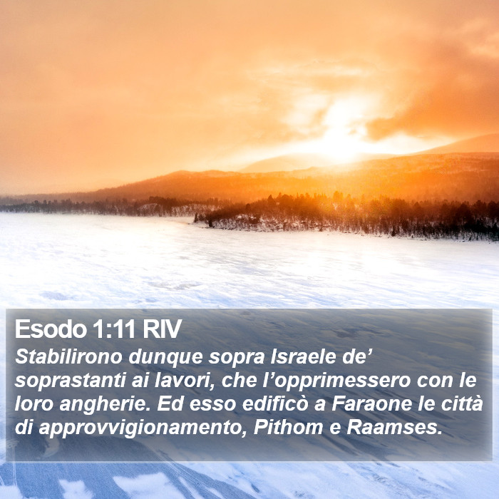 Esodo 1:11 RIV Bible Study