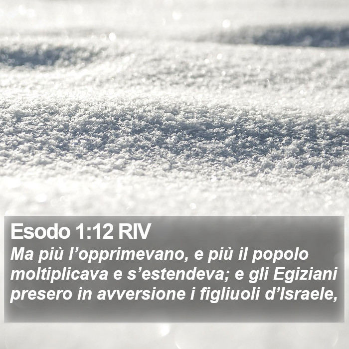 Esodo 1:12 RIV Bible Study