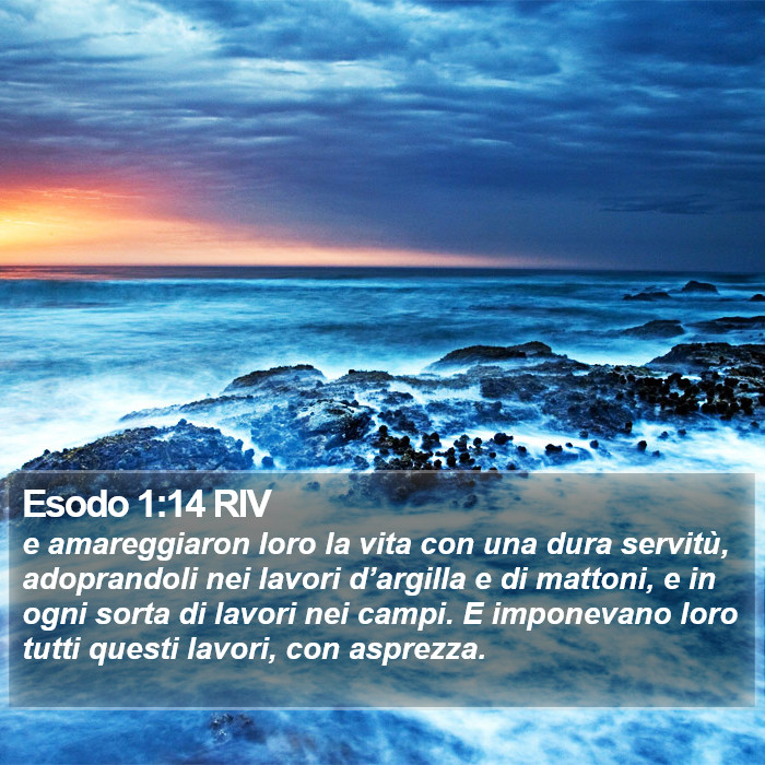 Esodo 1:14 RIV Bible Study