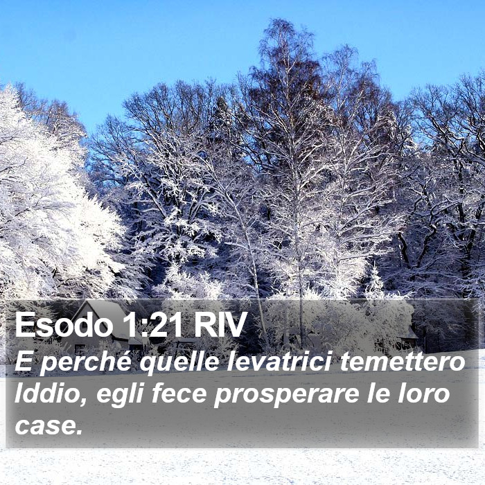Esodo 1:21 RIV Bible Study