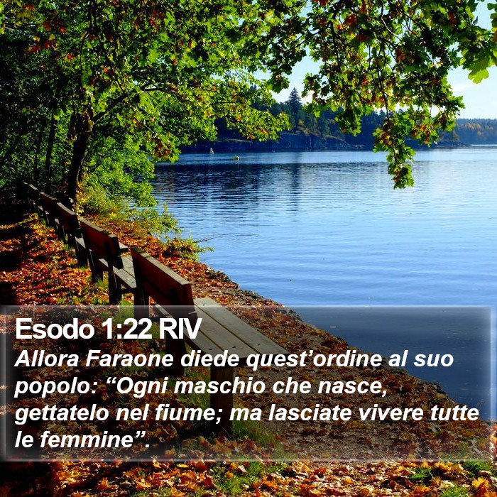 Esodo 1:22 RIV Bible Study
