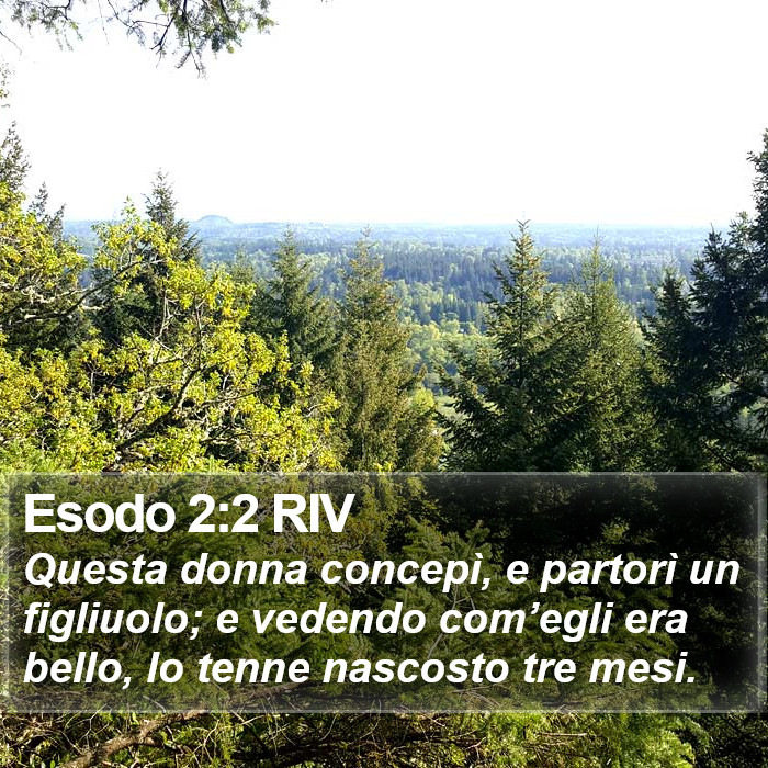 Esodo 2:2 RIV Bible Study
