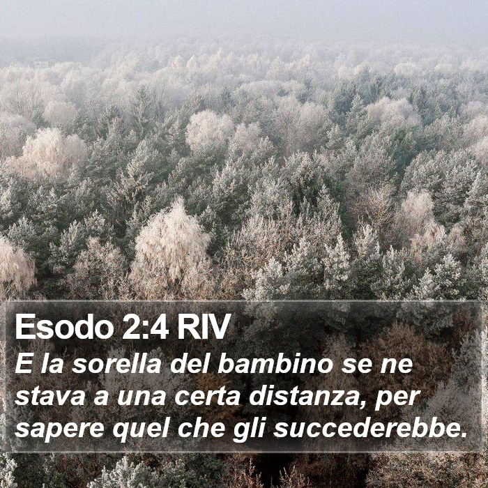 Esodo 2:4 RIV Bible Study