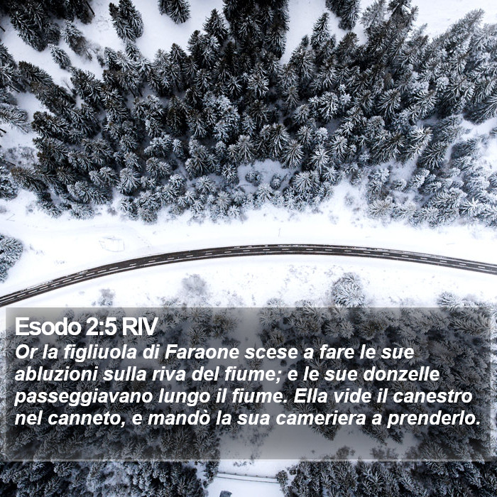 Esodo 2:5 RIV Bible Study