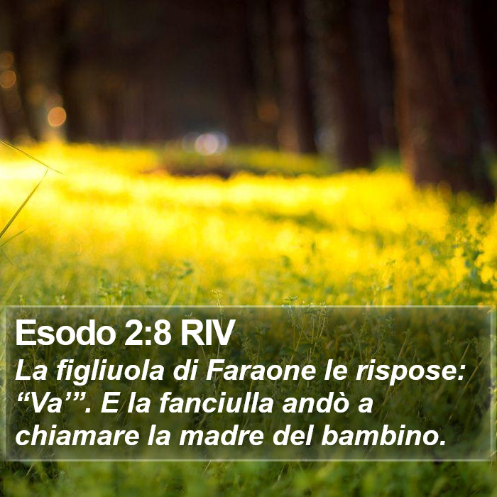 Esodo 2:8 RIV Bible Study